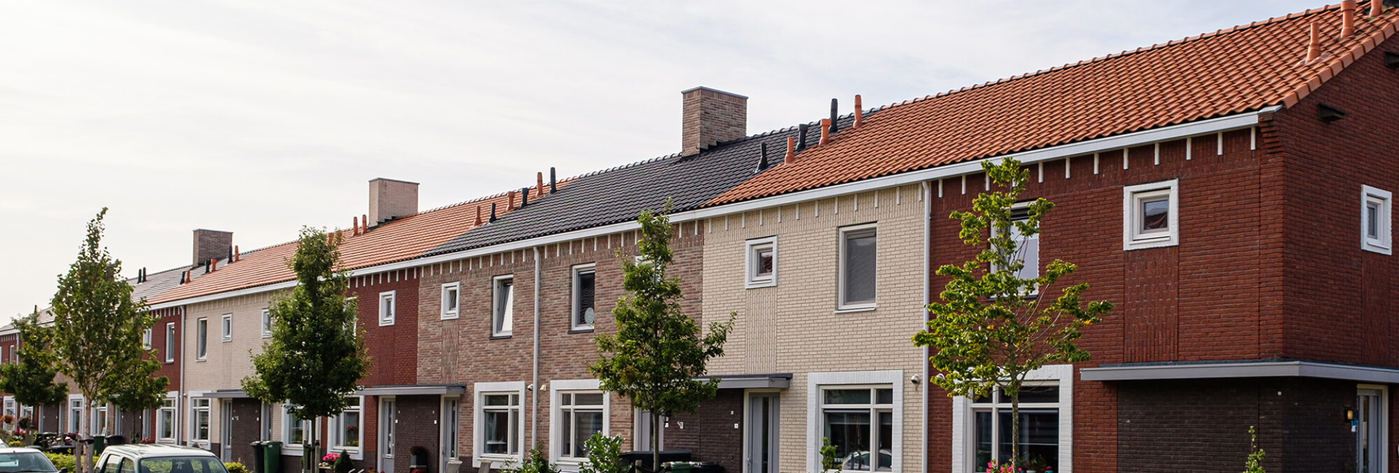 Polytech Dokkum Hoedemakerspolder