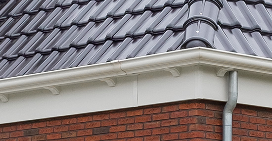 Molenwiekensysteem polytech